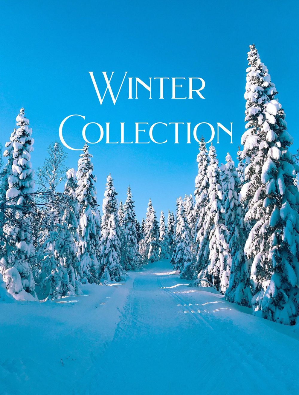 Winter Collection